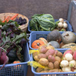 Summer CSA by Tantre Farm