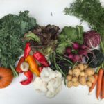 Week 16